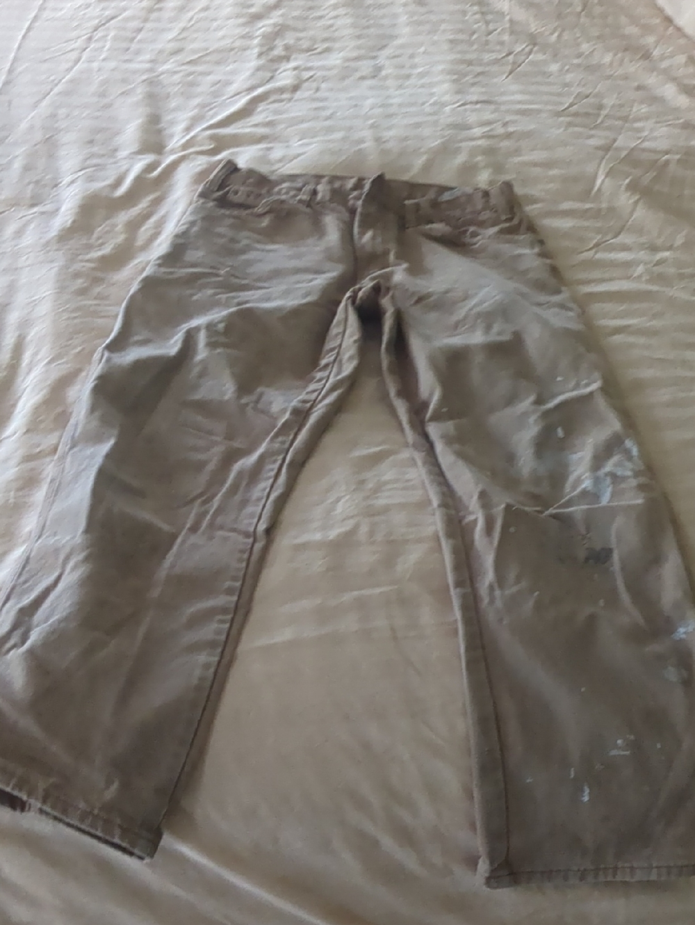 Men's Casual Straight-Leg Pants in Brown